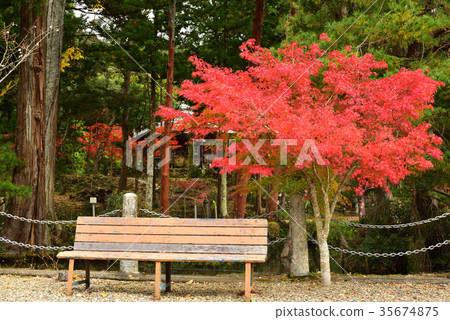 Autumn leaves of Tamba-shi Hakusu-ji Autumn leaves of Tamba-shi Hakusu-ji 35674875