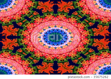 Kaleidoscope (foliage) Kaleidoscope (foliage) 35675262