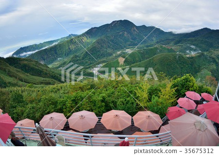 霧雨張巨傘,滿山緋櫻開-在尖石數碼天空台灣 霧雨張巨傘,滿山緋櫻開-在尖石數碼天空台灣 35675312