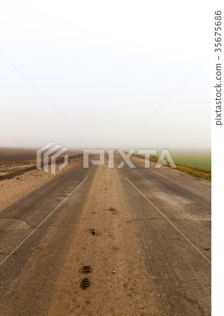 Asphalt road Asphalt road 35675686