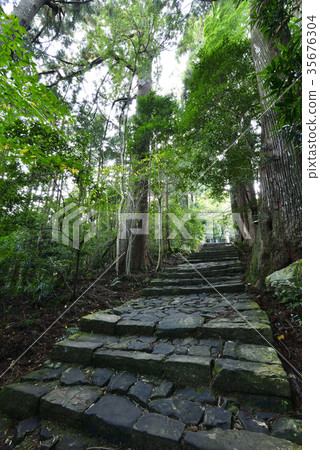 Kumano Kodo Daimonzaka(和歌山縣Nachi Katsuura Town) Kumano Kodo Daimonzaka(和歌山縣Nachi Katsuura Town) 35676304