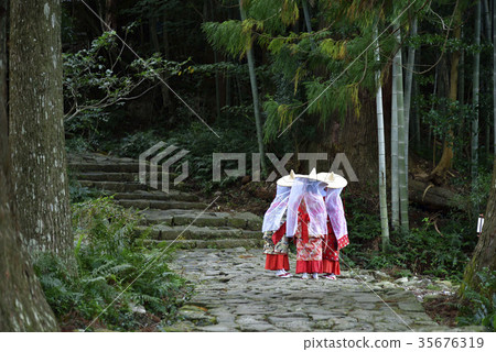 Kumano Kodo Daimonzaka (Wakayama Prefecture Nachi Katsuura Town) Kumano Kodo Daimonzaka (Wakayama Prefecture Nachi Katsuura Town) 35676319
