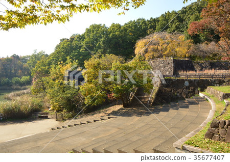 Katakura Tsudoi no Mori Park的秋葉是八王子市 Katakura Tsudoi no Mori Park的秋葉是八王子市 35677407