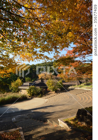 Katakura Tsudoi no Mori Park的秋葉是八王子市 Katakura Tsudoi no Mori Park的秋葉是八王子市 35677409