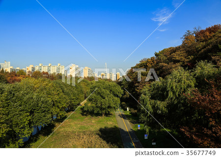 Yangjae流 Yangjae流 35677749