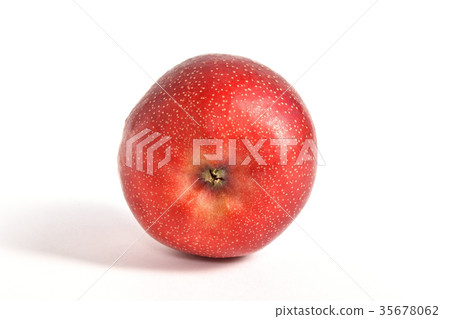 Apple(Tenyuki) Apple(Tenyuki) 35678062