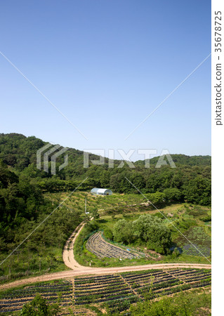 Cheongju Equivalent Acid (Historic Site No. 212) Cheongju Equivalent Acid (Historic Site No. 212) 35678725