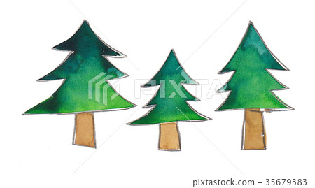 樅樹 樅樹 35679383