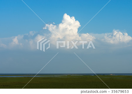 Wildlife sanctuaries of southern Thailand. 35679653