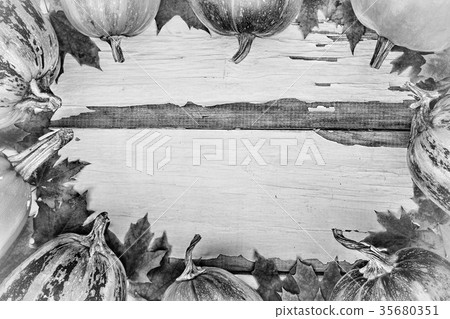 Frame Thanksgiving Day. top veiw 35680351