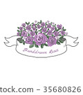 Flower ribbon of rose. 35680826