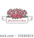 Flower ribbon of rose. 35680829