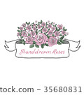 Flower ribbon of rose. 35680831