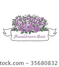 Flower ribbon of rose. 35680832