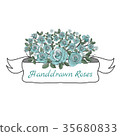 Flower ribbon of rose. 35680833
