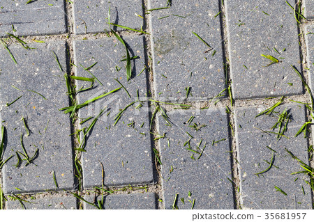 paving concrete tile, 35681957