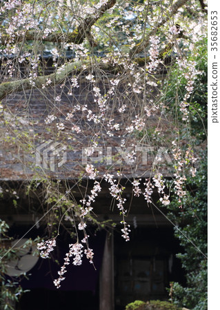 吉野水分神社 吉野水分神社 35682653