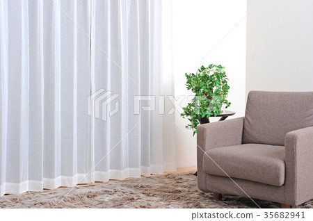 Lace curtain and sofa and planting 35682941