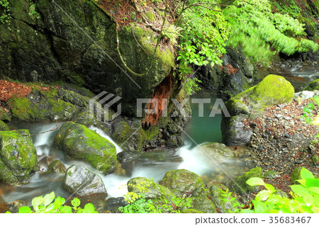 Cool summer valley Cool summer valley 35683467