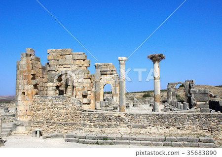 View of the Basilica in Volubilis, Morocco 35683890