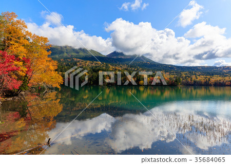 Autumn Onnetoto 35684065