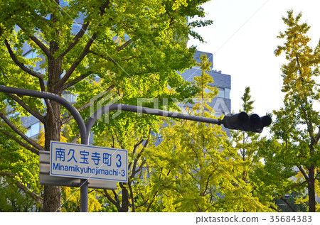 Osaka Fall Midosuji Osaka Fall Midosuji 35684383