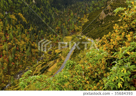 Yading Scenic Area, Sichuan Province, China 35684393