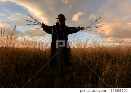 Scary scarecrow in a hat 35684891