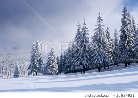 Fantastic winter landscape Fantastic winter landscape 35684921