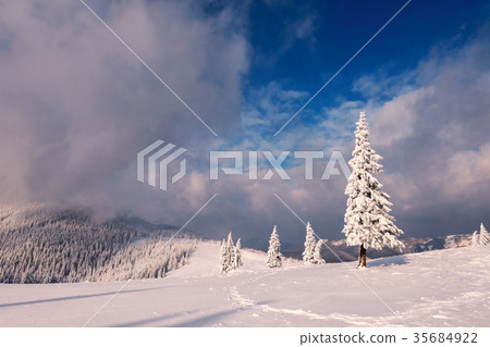 Fantastic winter landscape Fantastic winter landscape 35684922
