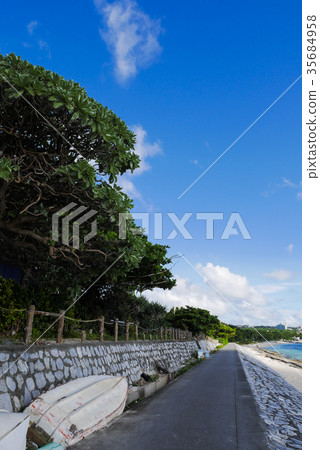 Okinawa Okinawa 35684958