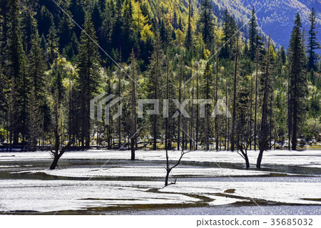 中國四川省番禺區風景區 35685032