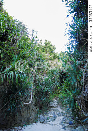 Okinawa Okinawa 35685192