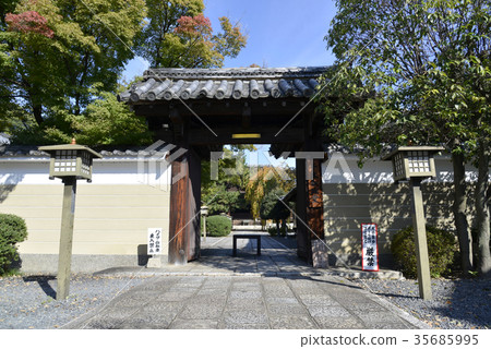 Senbon Shakado Senbon Shakado 35685995