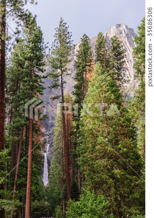 Upper and Lower Yosemite Falls 35686306