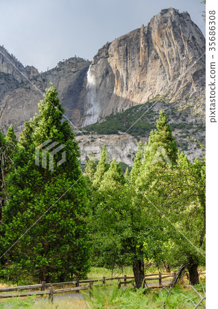 Upper and Lower Yosemite Falls 35686308