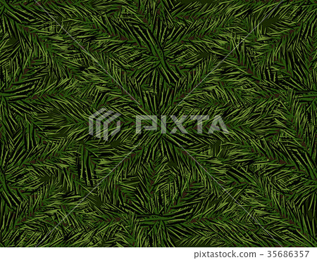 New Year Christmas. Green branch of the Christmas New Year Christmas. Green branch of the Christmas 35686357