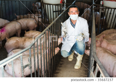 Veterinarian holding syringe and glass bottle 35687237