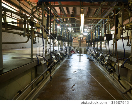 Automatic milking system 35687943