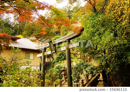 Ohirayama Shrine in autumn Ohirayama Shrine in autumn 35690110