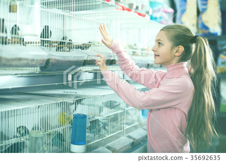 Smiling girl choosing pretty bird Smiling girl choosing pretty bird 35692635