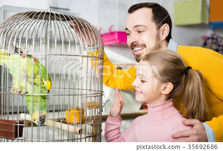 father and daughter excited to see green parrot in pet shop 35692686