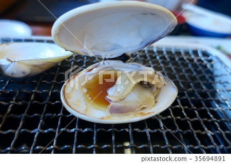 Clam Clam Clam Kujukuri 35694891