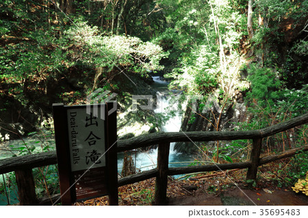 Kawazu Nanakida Kawazu Nanakida 35695483