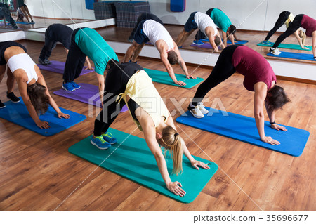 Adults having yoga class in sport club Adults having yoga class in sport club 35696677