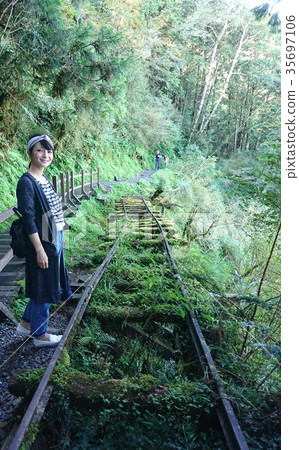 太平山見晴古道 35697106