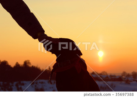 sihouette of a dog and man hand sihouette of a dog and man hand 35697388