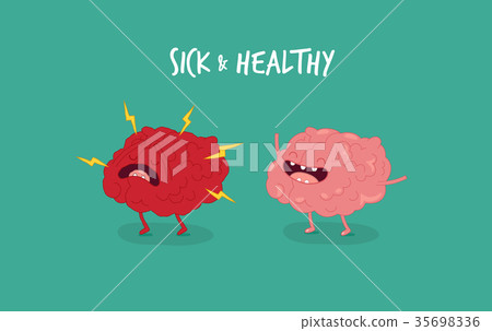 internal organs. Vector illustrations. 35698336