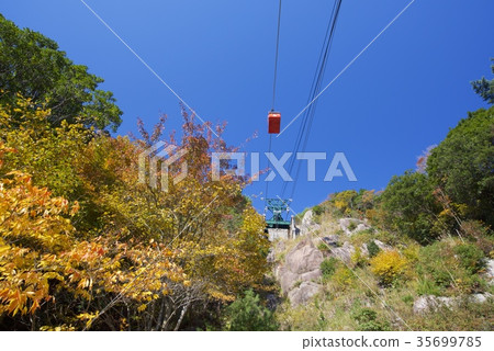 Okomoto Okomoto 35699785