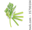 Fresh celery isolated on white background 35700104